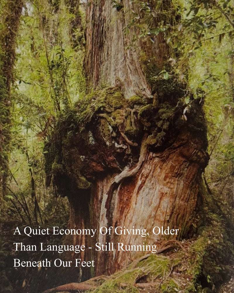The Quiet Economy of Trees